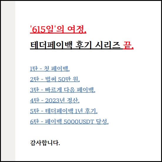 테더페이백_후기_나비님글_시리즈