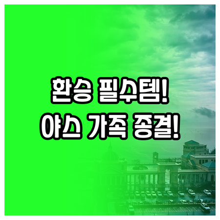 아부다비 호텔 추천 공항 환승부터 야..