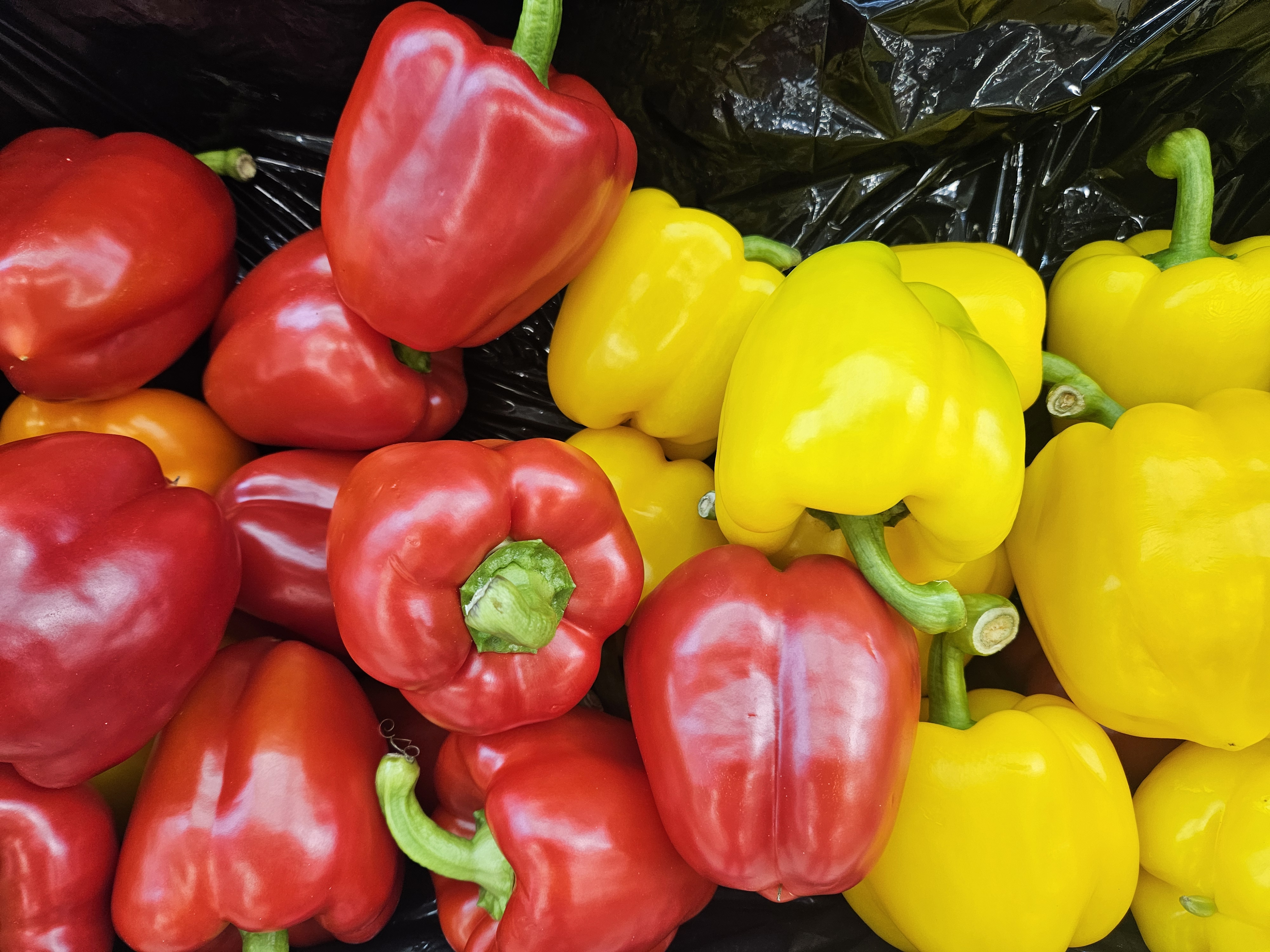 파프리카 효능과 부작용 및 파프리카 어디서 사야 좋을까,보관 방법,추천 요리