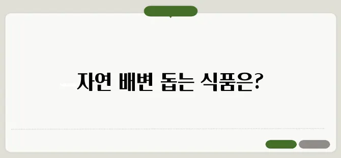 변비에 좋은 음식 자연스럽게 배변을 돕는 식품 추천