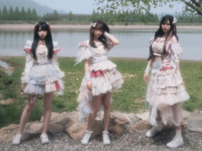 이호테우 미나 계약 해지