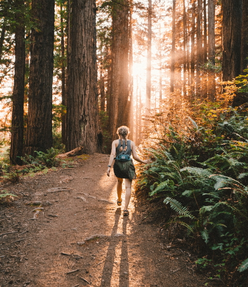 걷기 운동의 칼로리 소모, 효과, 올바르게 걷는 방법
