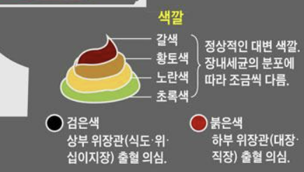 초록색 변 이유, 증상, 대처법 확인
