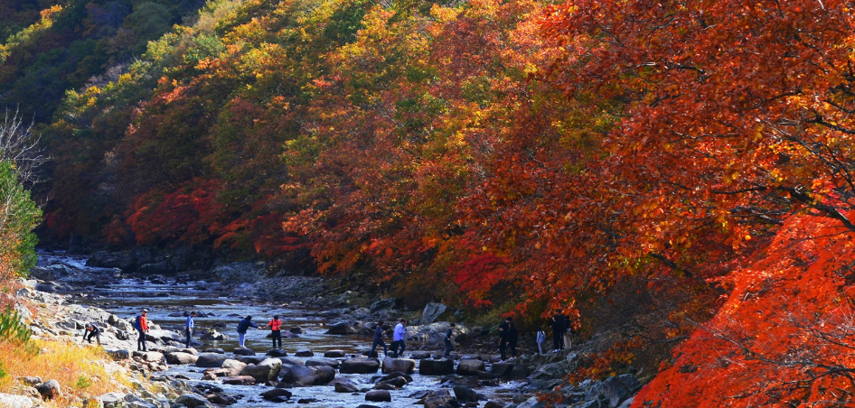 옥계계곡 단풍 명소2