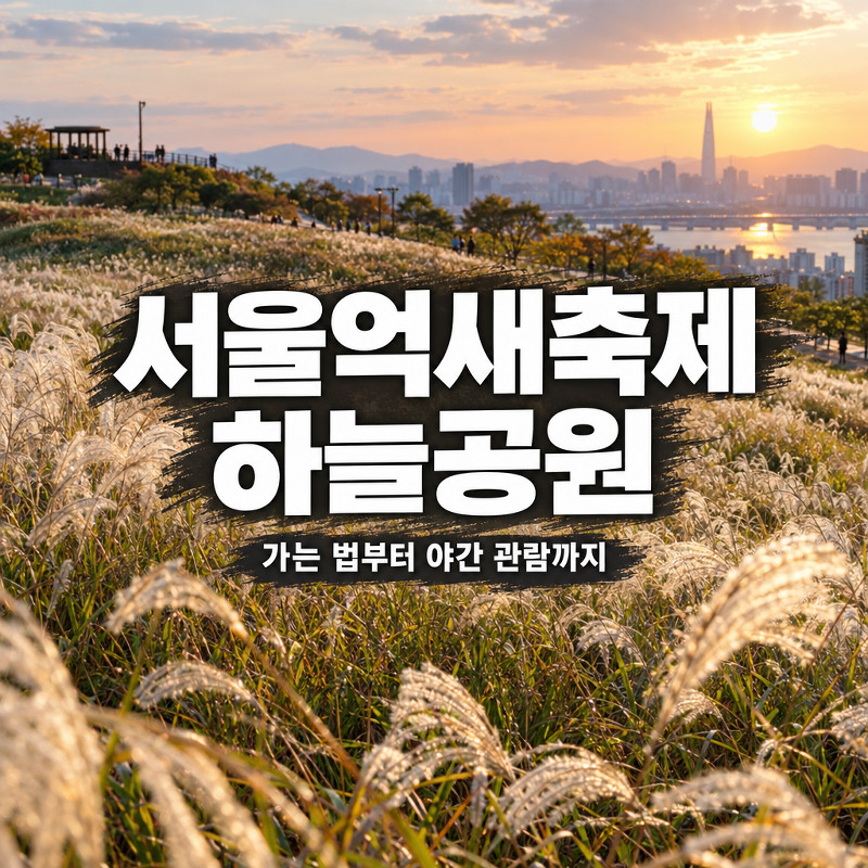 서울억새축제 하늘공원 가는 법과 야간 관람