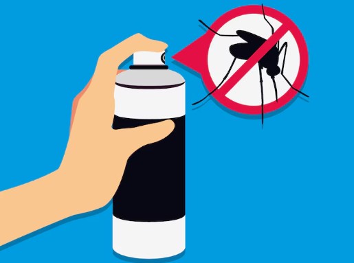 러브-버그-수명-원산지-퇴치법-6