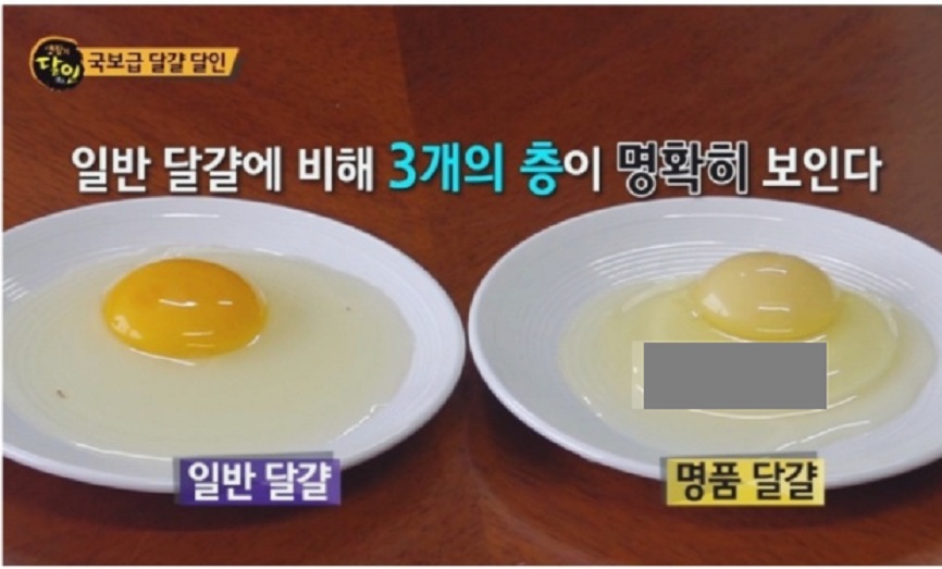 경기도-연천-유정란-유나네자연숲농장