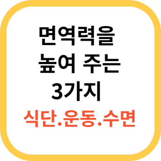 면역력을 높여주는 3가지