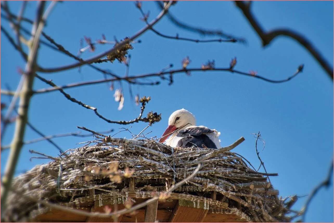 장생포 수국축제 주차장
