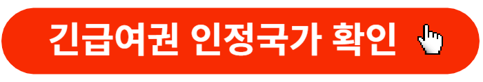 긴급여권-인정국가-허가국가