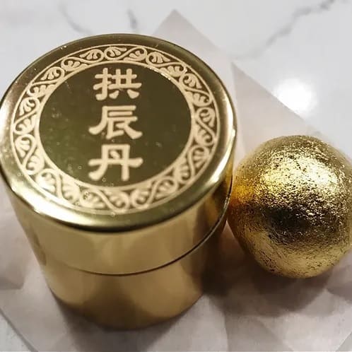공진단 사진
