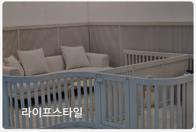 2024 메가주 일산