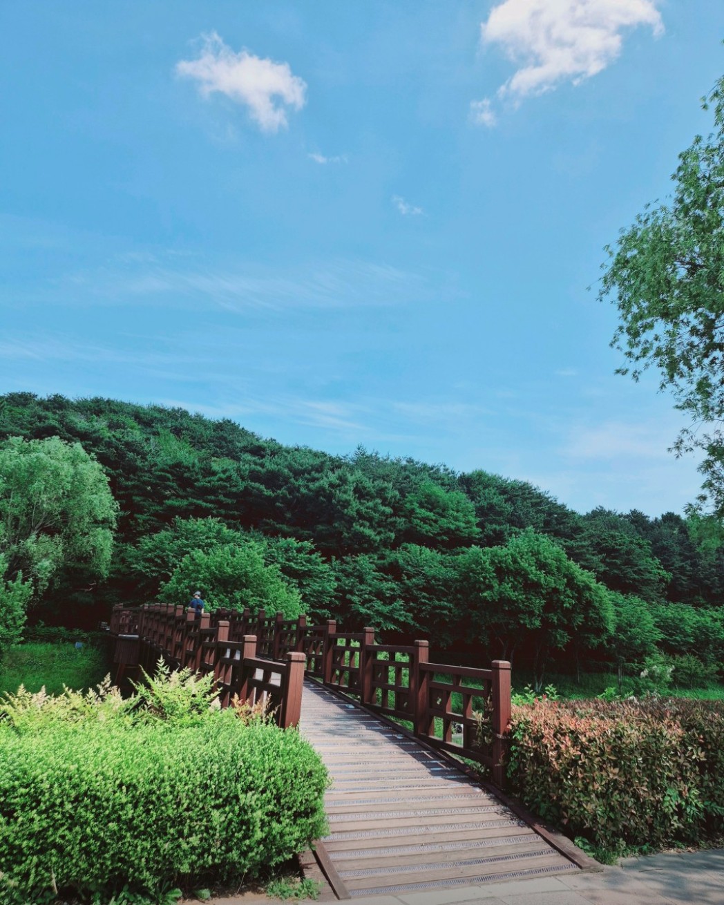 순천 조례호수공원 이미지