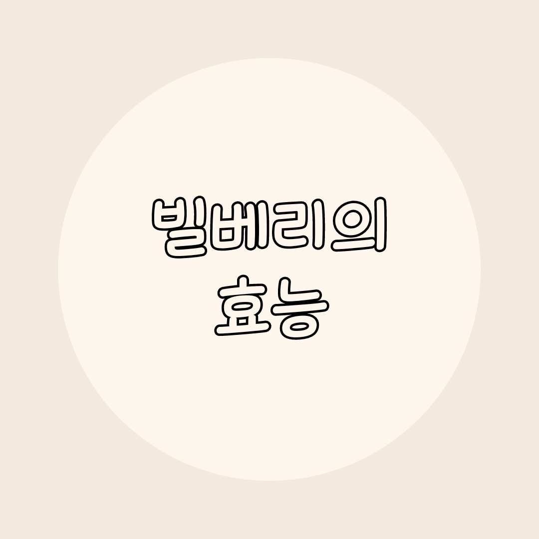 빌베리의 효능