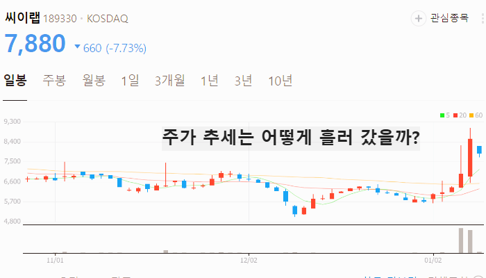 엔비디아 관련주 대장주 테마주 주식 TOP10