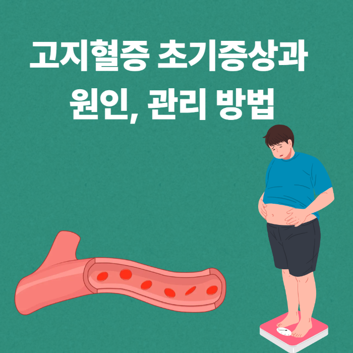 고지혈증 초기증상과 원인, 관리 방법