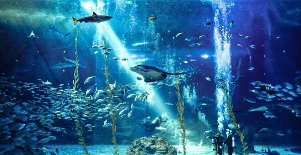 제주도 아쿠아플라넷 사진