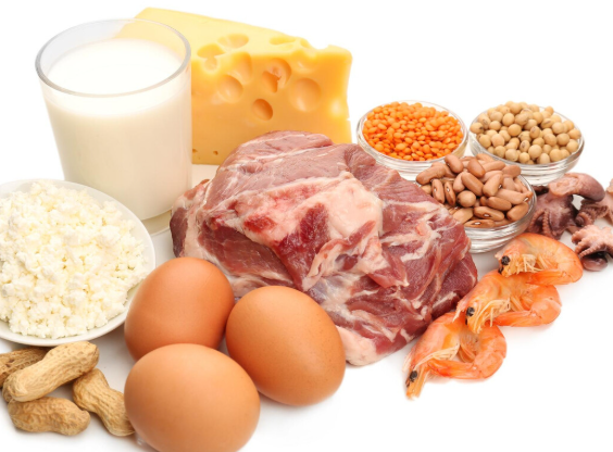 중년 단백질 하루 권장량 총정리! 체중 기준 계산법까지