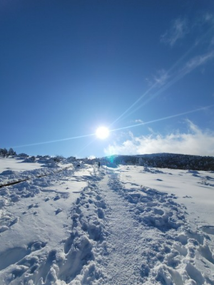 한라산 어리목코스