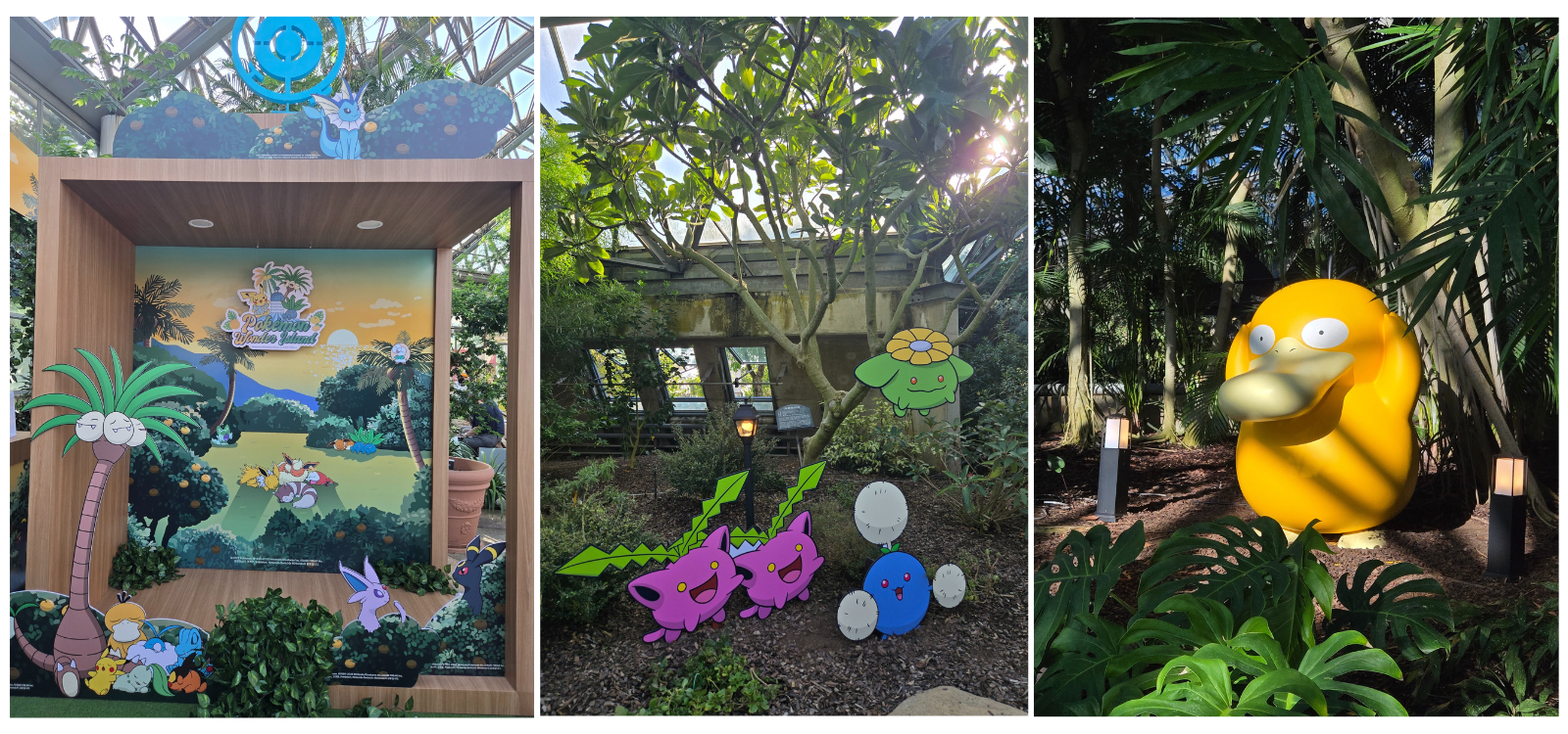 제주 여미지 포켓몬 그린가든 원더 아일랜드 총정리