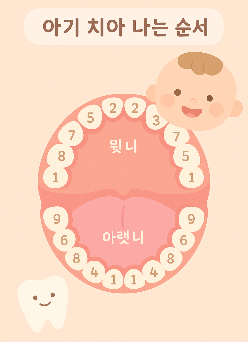 아기 치아 나는 시기 월령별 순서 이앓이 증상