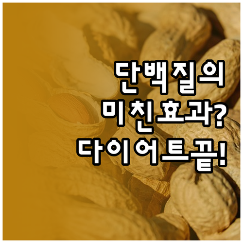 효과적인 다이어트를 위한 단백질 권장..