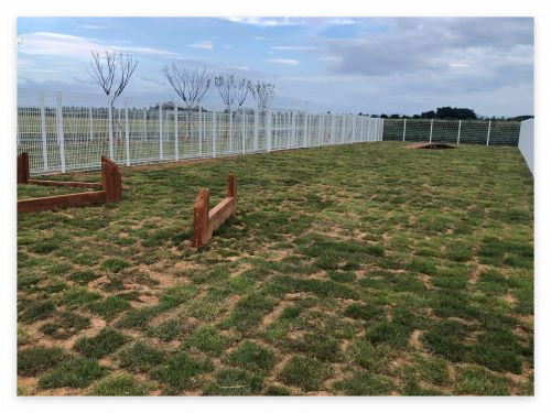 부안 반려동물 놀이터