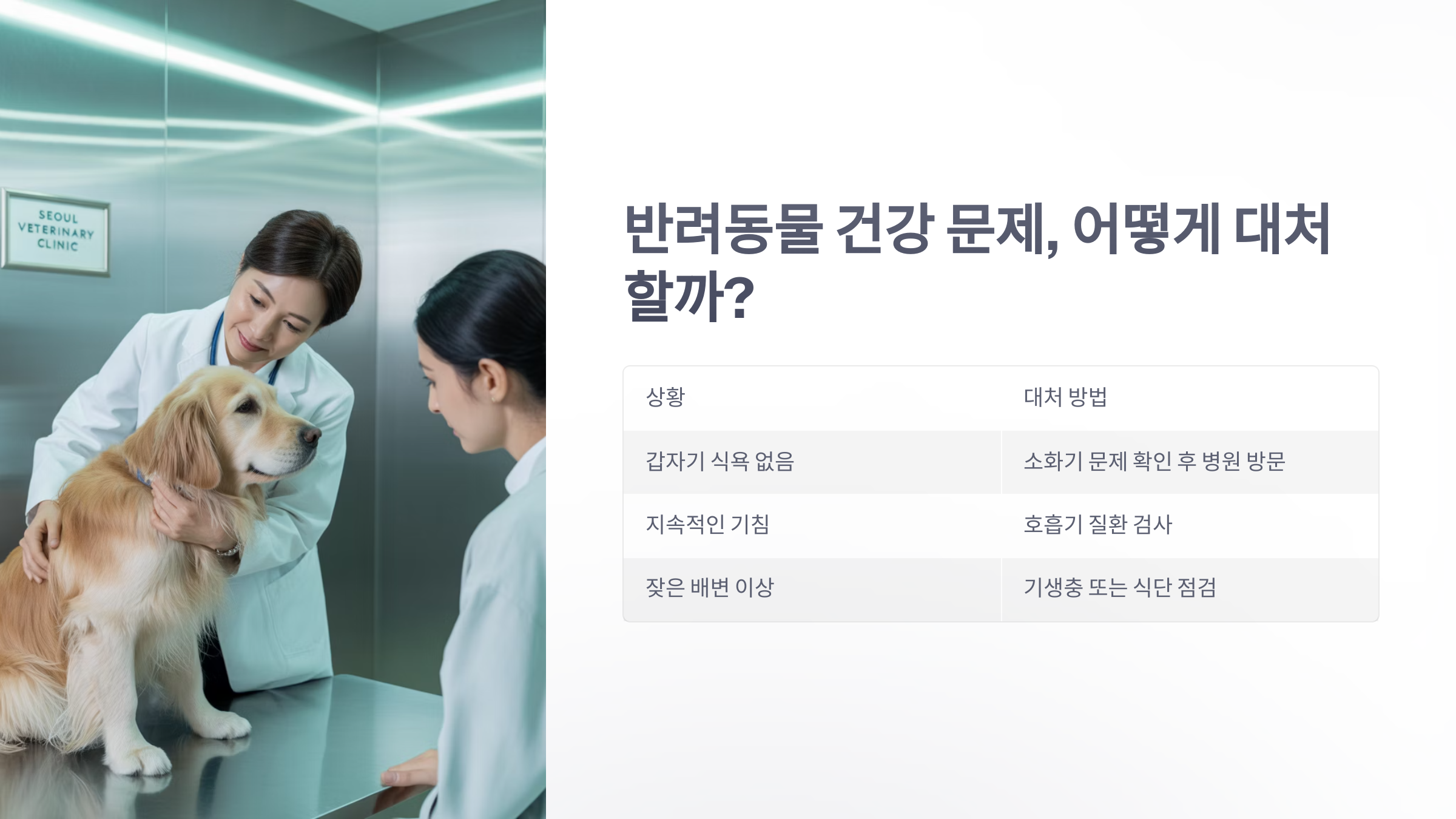 참조-반려인-고민-3