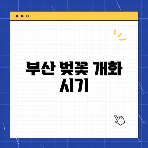 부산 벚꽃 개화 시기, 현지인이 뽑는 명소는?