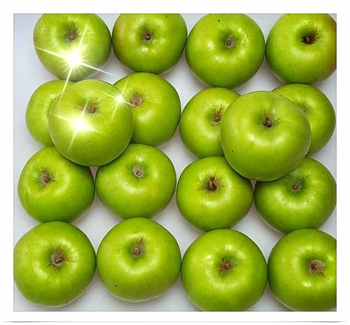 아오리사과 포장