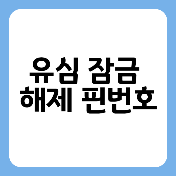 썸네일 유심 잠금해제 핀번호