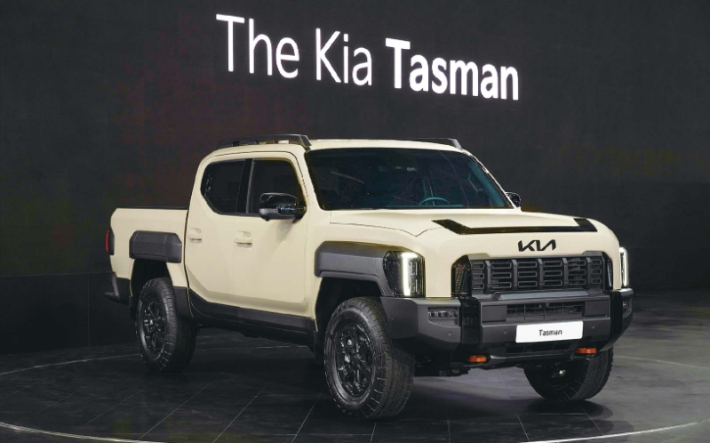 30대 남성을 위한 타스만 관련 사진