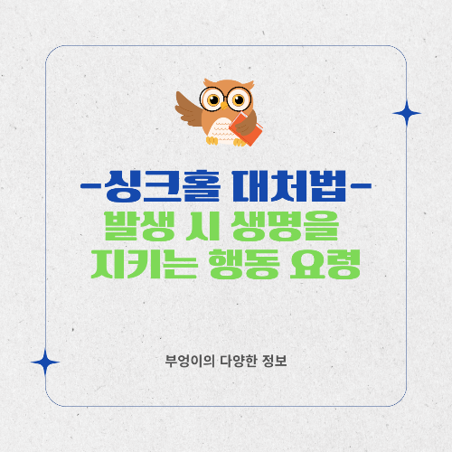 강동구 싱크홀 사고 / 싱크홀 대처법: 발생 시 생명을 지키는 행동 요령