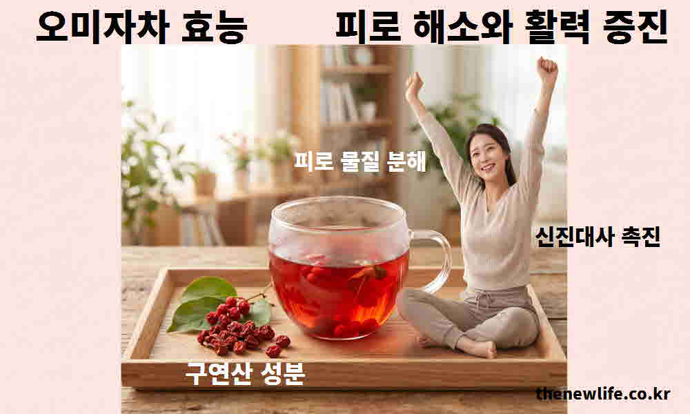 오미자차 효능 피로 해소 활력 증진