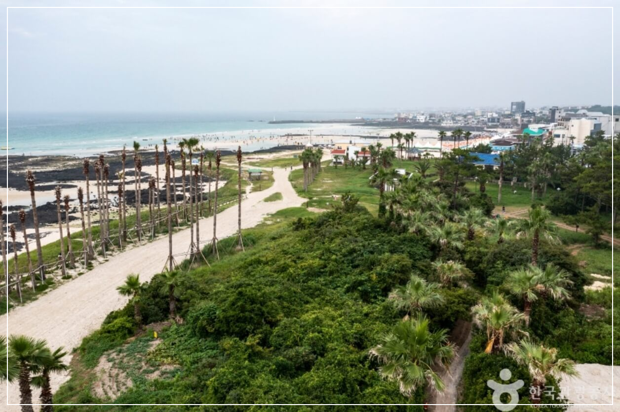 제주도 가볼만한곳 베스트10 협재해수욕장