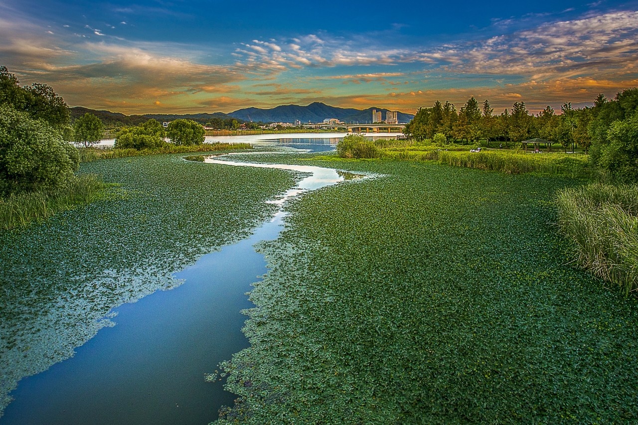 남양주 물의 정원 저녁놀