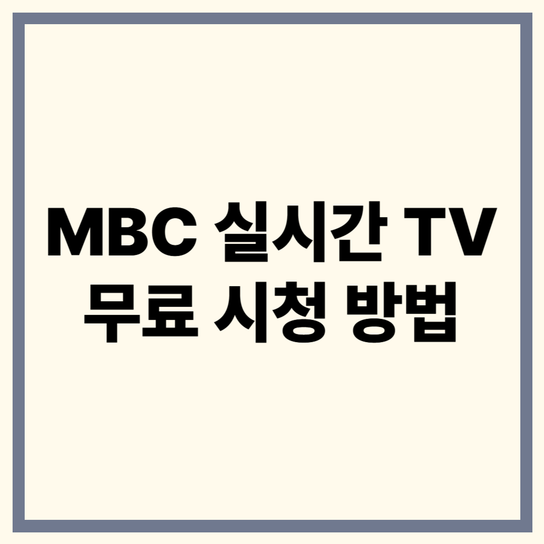 MBC 실시간 TV 보기 방법 – 무료 온에어 완벽 정리