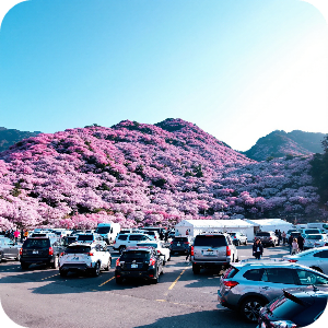 황매산 군립공원 주차 이미지