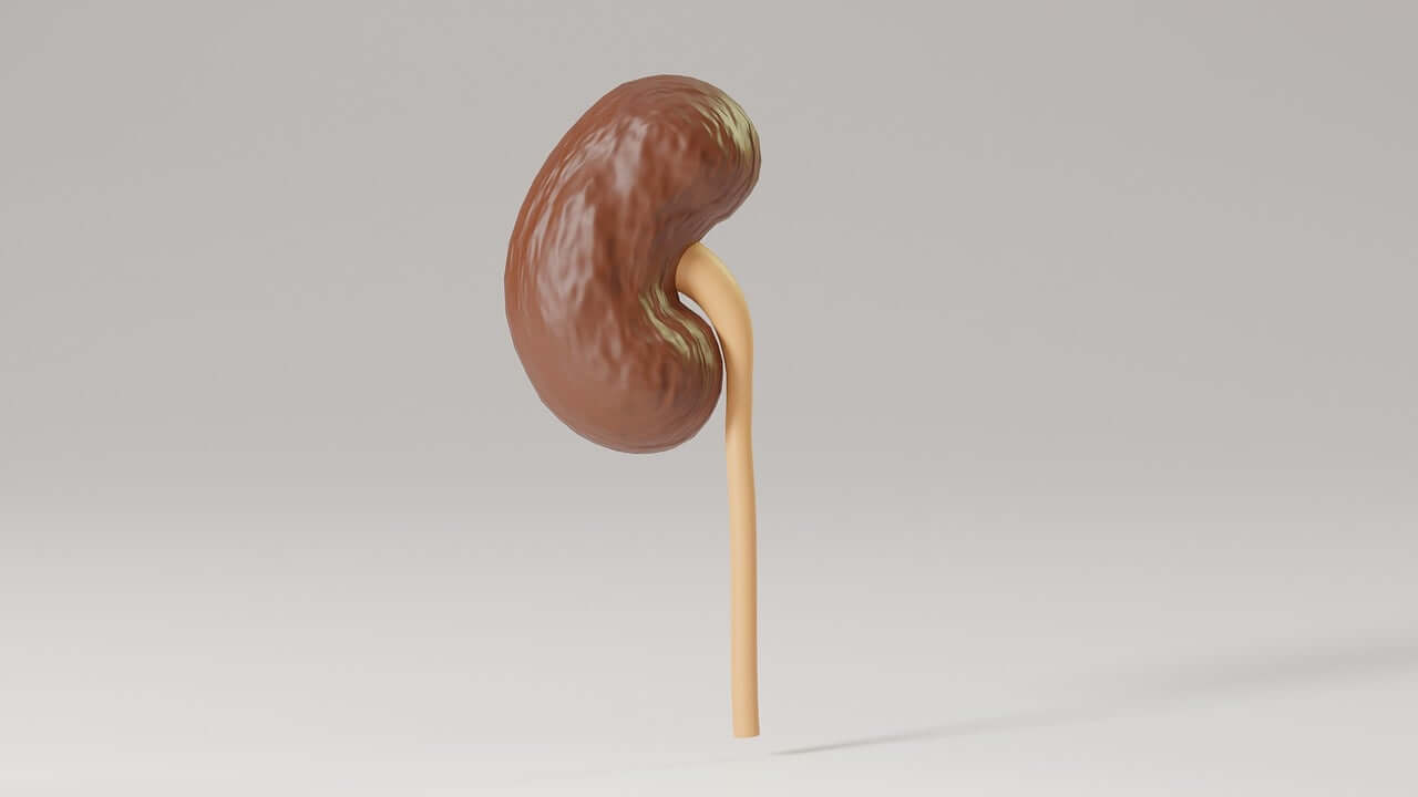 신우신염 증상