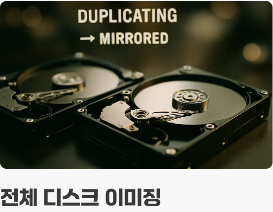 무료 버전만으로도 충분한 이유