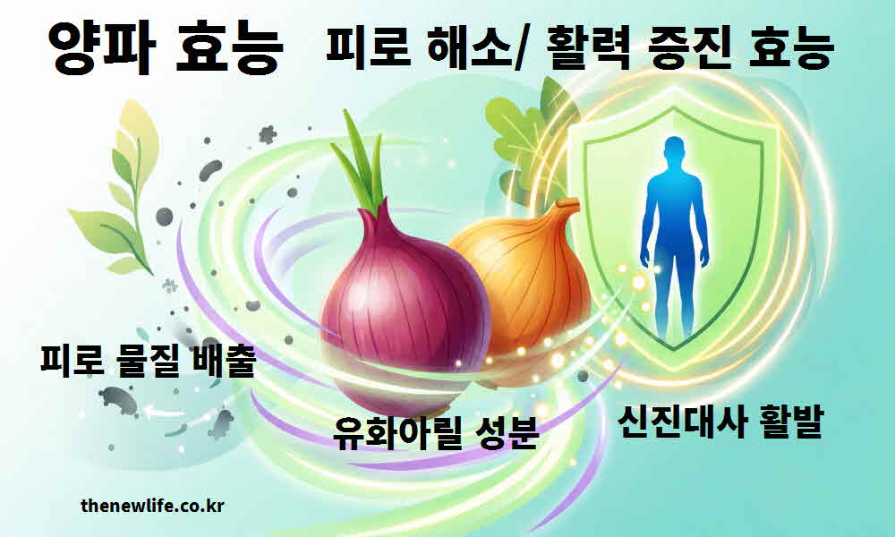 양파 효능 피로 해소 활력 증진