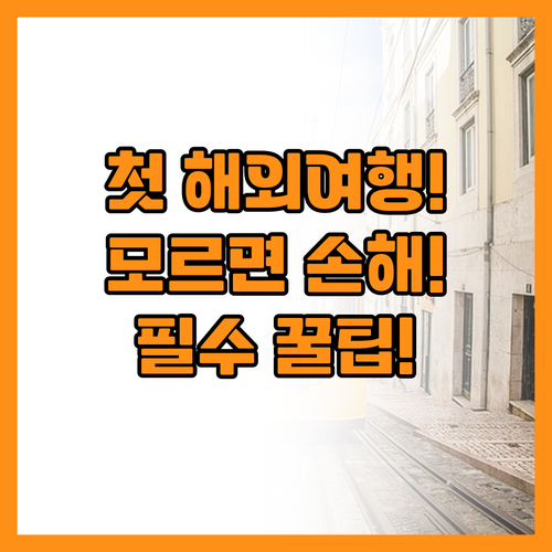 첫 해외여행 가기 전 모르면 무조건 ..