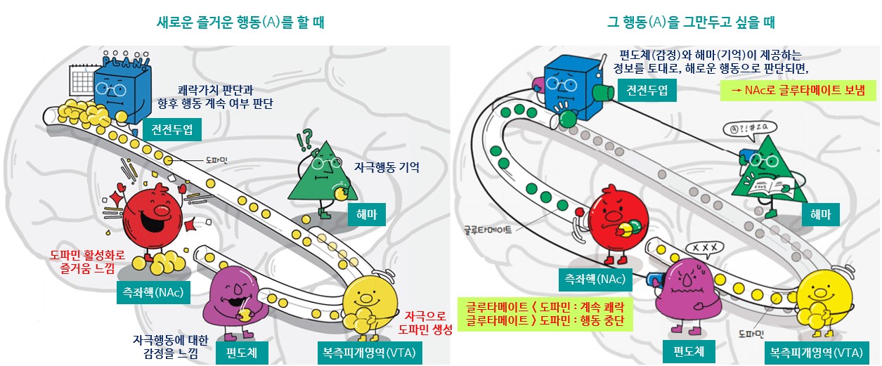 뇌 보상회로 출처 동아사이언스