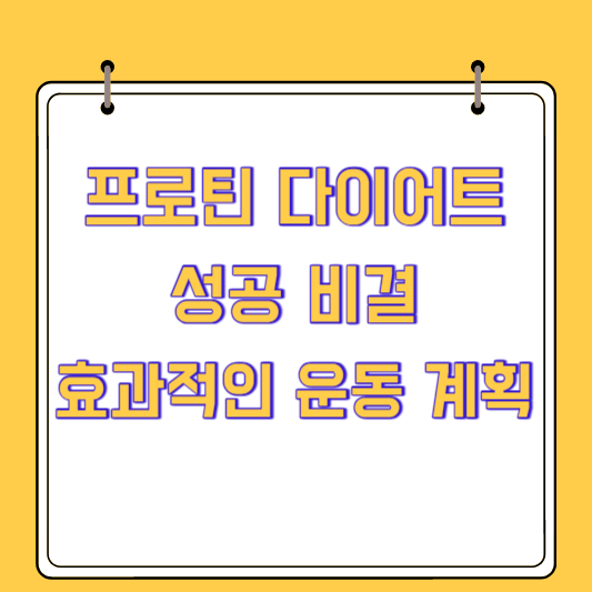 프로틴 다이어트의 성공 비결과 효과적인 운동 계획
