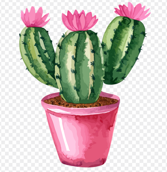 식물이 보내는 구조 신호