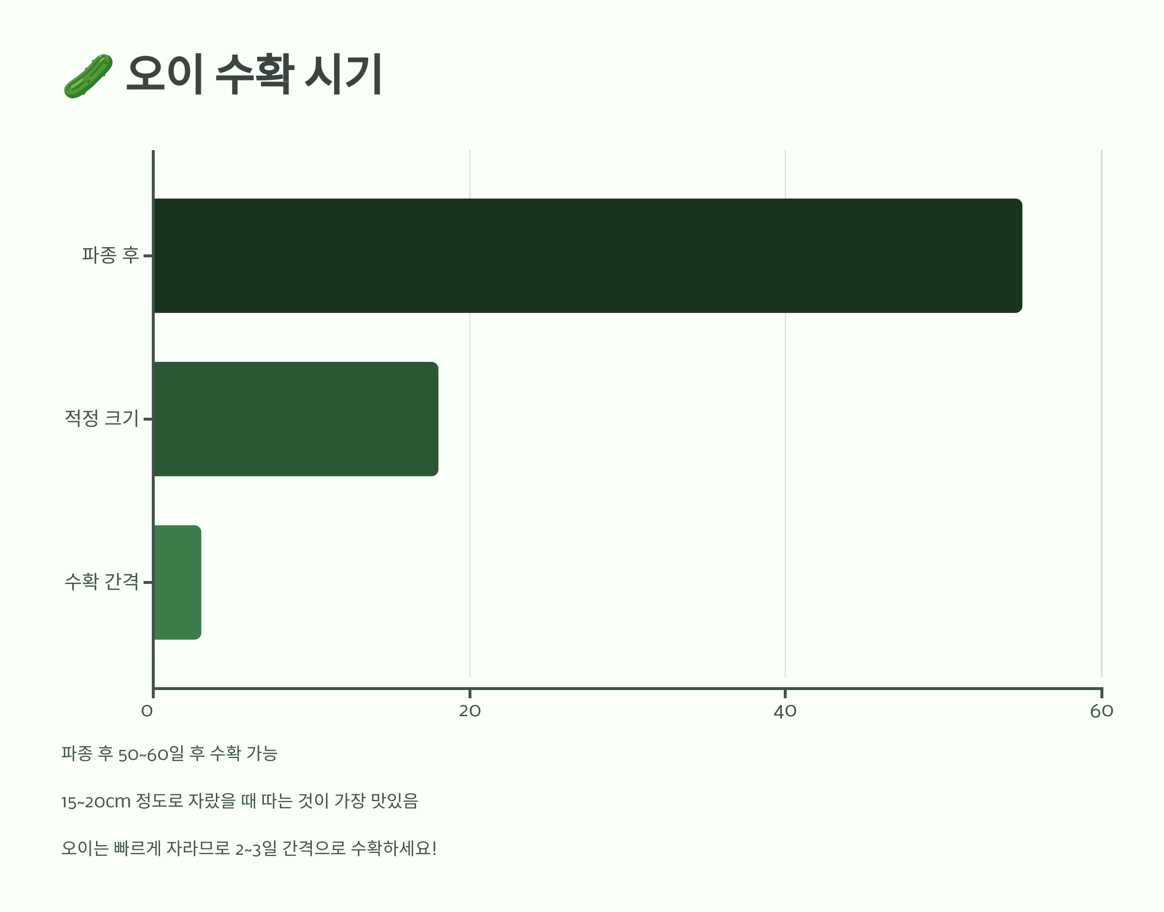 오이 사진입니다.