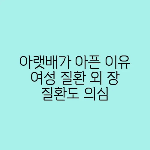 아랫배가 아픈 이유 여성 질환 외 장 질환도 의심