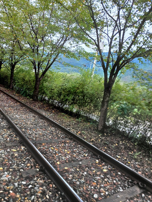 가평역 레일바이크 풍경