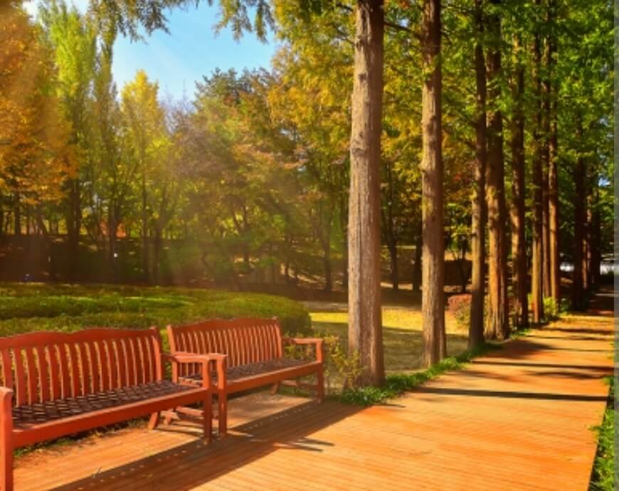 가을 단풍 명소 여행 추천