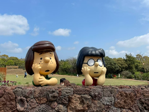 제주도-렌트카-예약-방법